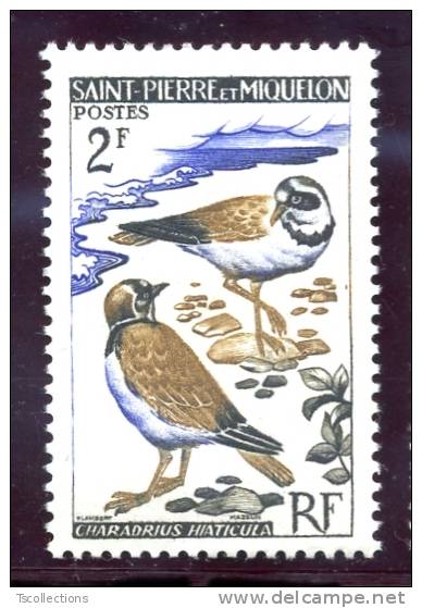 Saint Pierre Et Miquelon N°366 Oiseaux : Gravelots - Ongebruikt