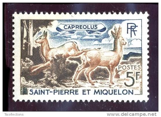 Saint Pierre Et Miquelon N°374 Chevreuils - Ungebraucht