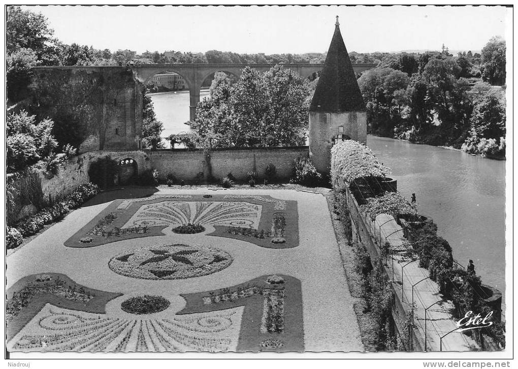 79 - ALBI - Jardin De L'Archevêché . Cpsm - Albi