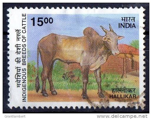 India 2000 Indigenous Cattle 15r Used  SG 1922 - Oblitérés