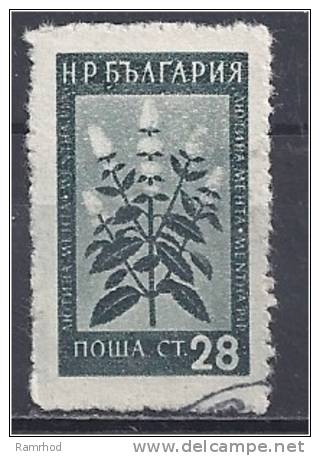 BULGARIA 1953 Medicinal Flowers.- 28s Peppermint FU - Used Stamps