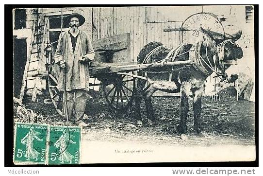 FOLKLORE  POITOU  / Un Attelage En Poitou   / - Poitou-Charentes