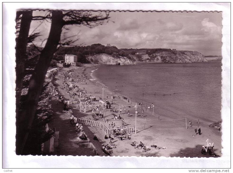 29 - Morgat         Vue Générale De La Grande Plage - Morgat