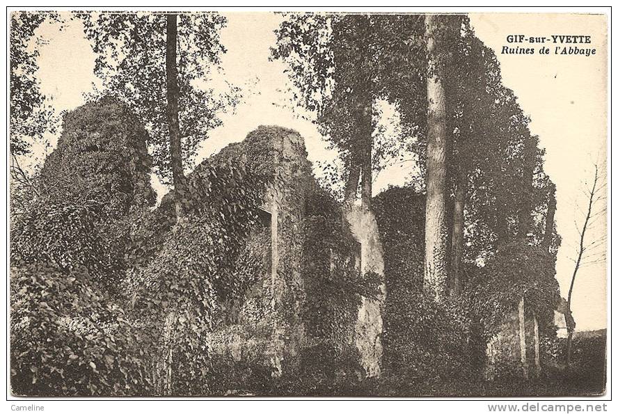 91 . GIF SUR YVETTE . Ruines De L Abbaye - Gif Sur Yvette