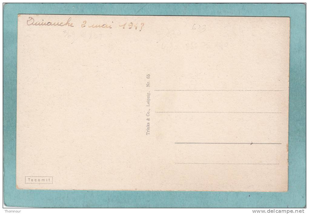 MERSEBURG  - SCHLOFSEINGANG U. DOMPORTAL  -  1943  -  BELLE CARTE  - - Merseburg