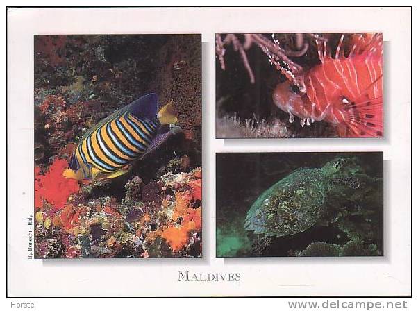 Maldiven - Under Water - Fish - Turtle - Stamp - Maldiven