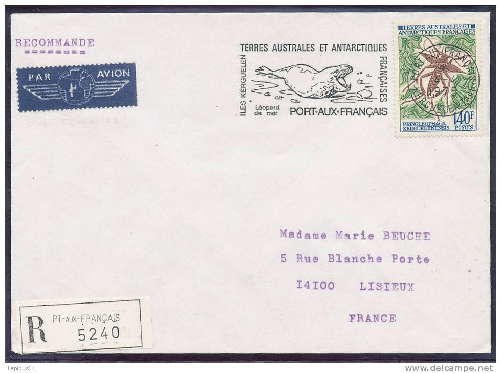 E 208/ TAAF SUR LETTRE  VOYAGE -   PORT AUX FRANCAIS (apparition Des Flammes Illustrées)   4/04/1975 - Autres & Non Classés