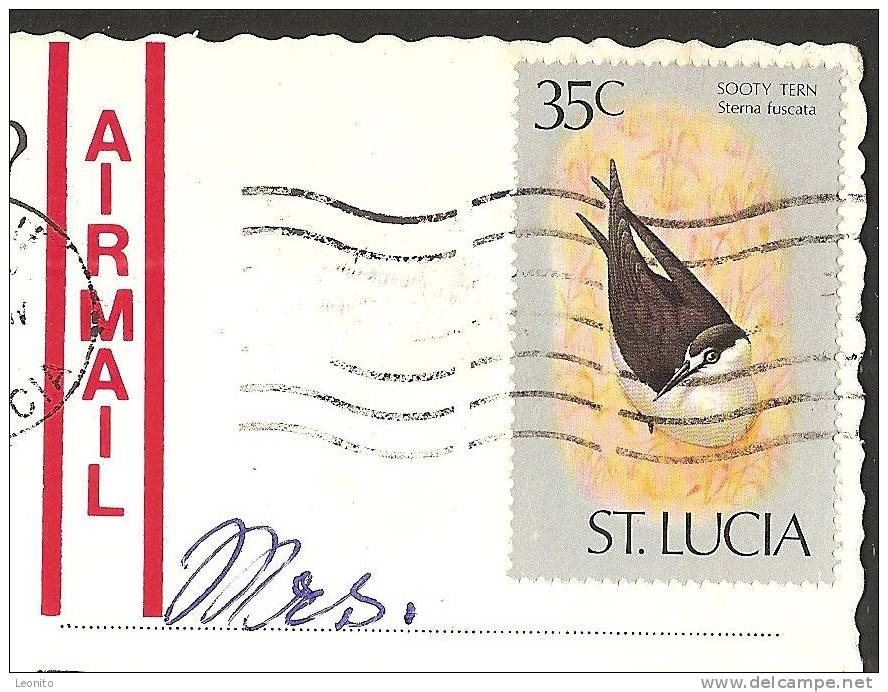 SAINT LUCIA Souffrière Petit Piton 1978 - St. Lucia