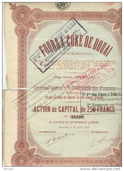 ACTION De Capital - Four à Coke De DOUAI - 250 Francs -    (1983) - Industrie