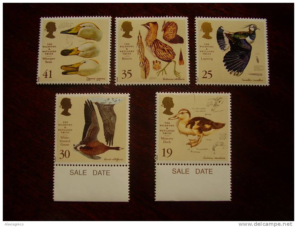 GB 1996 BIRD PAINTINGS ISSUE Of 5 Stamps COMPLETE SET MNH. - Neufs