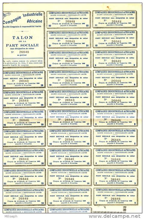 ACTION - Compagnie Industrielle Africaine - Société Congolaise à Responsabilité Limitée - S. Soc. ELISABETHVILLE   (1985 - Afrique