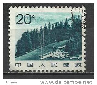 CHINA 1981 - DEFINITIVE 20 - USED OBLITERE GESTEMPELT - Used Stamps