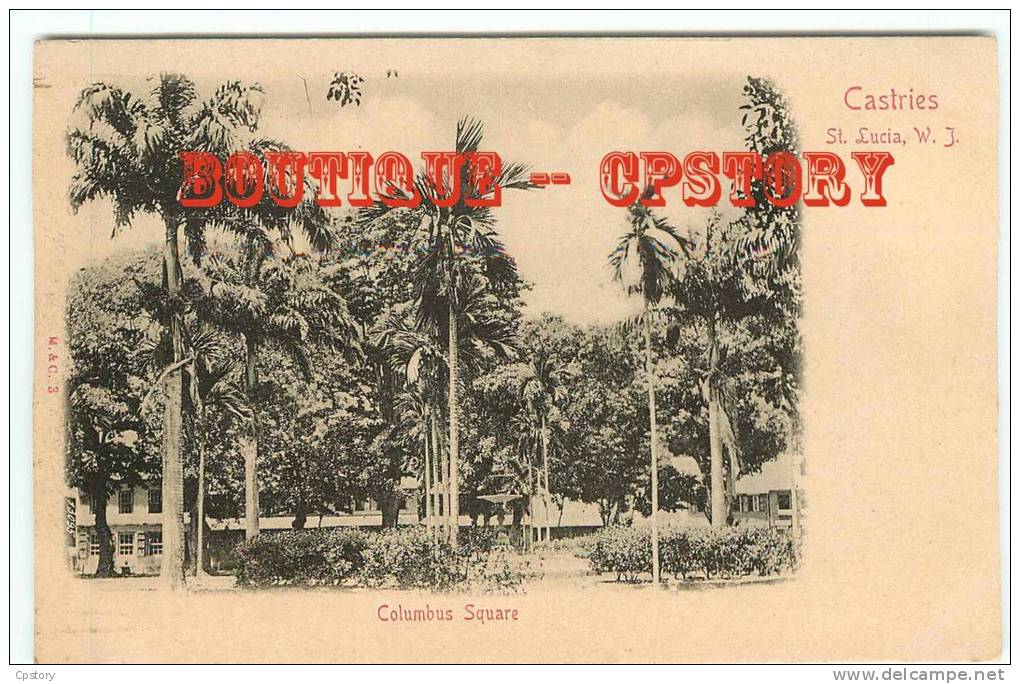 St LUCIA - Colombus Square Castries - Jardin Public - Sainte Lucie - Cliché 1900 - Saint Lucia