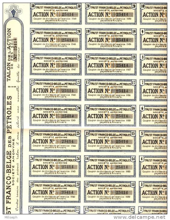 ACTION - Trust Franco Belges Des PETROLES -  500 Francs - S. Social Anvers    (1991) - Petrolio