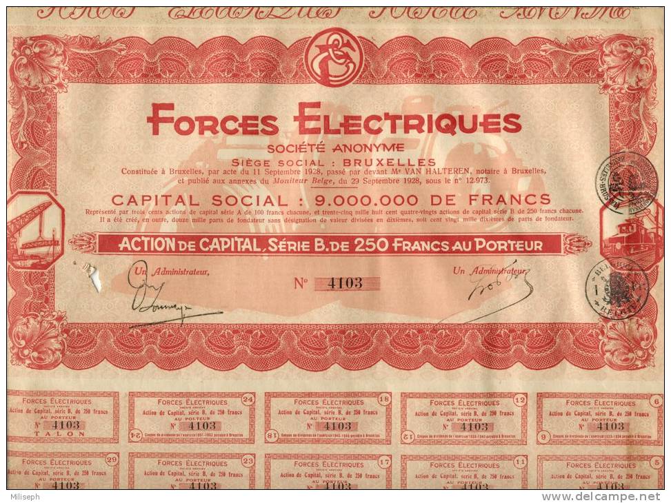 ACTION De Capital - FORCES ELECTRIQUES -  S. Social Bruxelles               (1995) - Elektrizität & Gas
