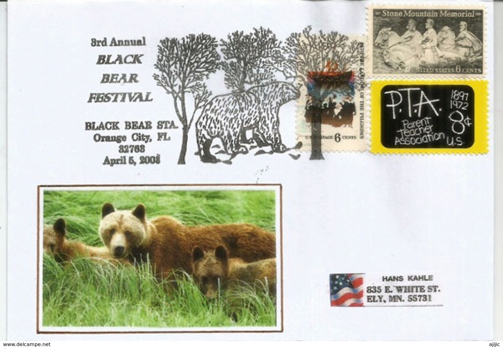 USA. American Black Bear,  Lettre Speciale Etats-Unis, Année 2008 - Bears