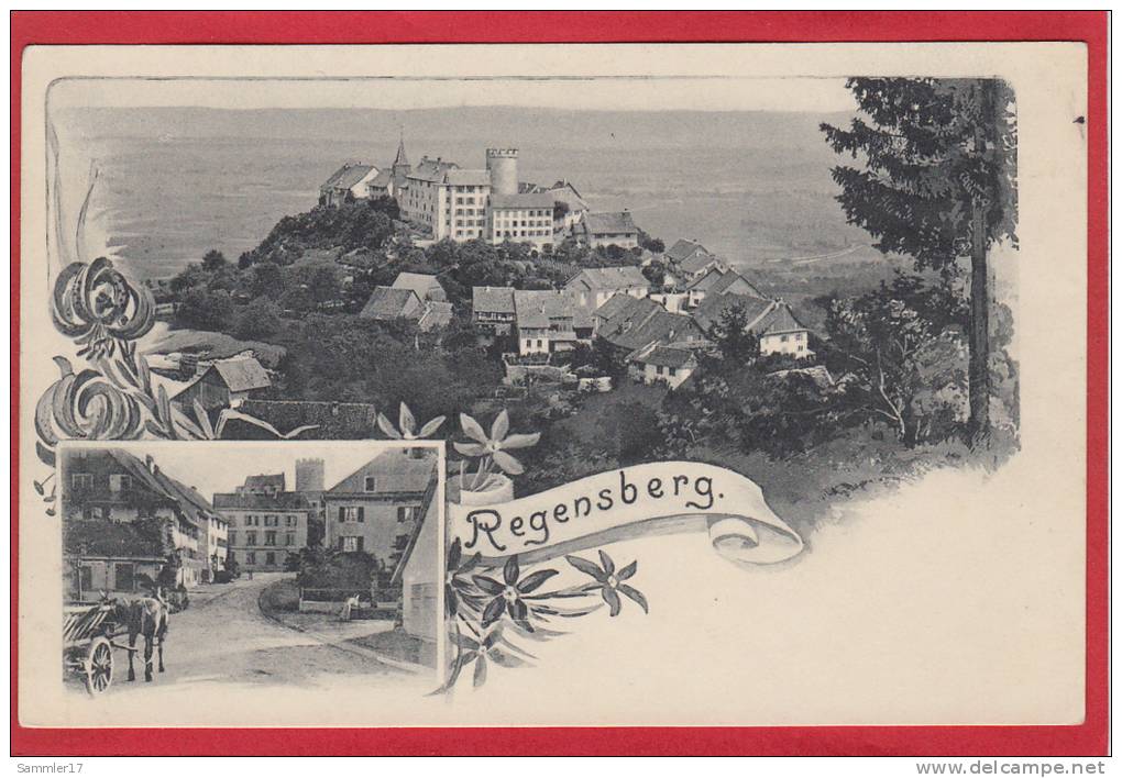 REGENSBERG, STRASSENANSICHT, LICHTDRUCK 1897 / 1905 - Regensberg