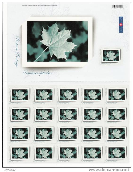Canada Scott #2064 MNH Full Pane Of 21 (49c) Picture Postage Picture Frame With Maple Leaf In Center - Full Sheets & Multiples