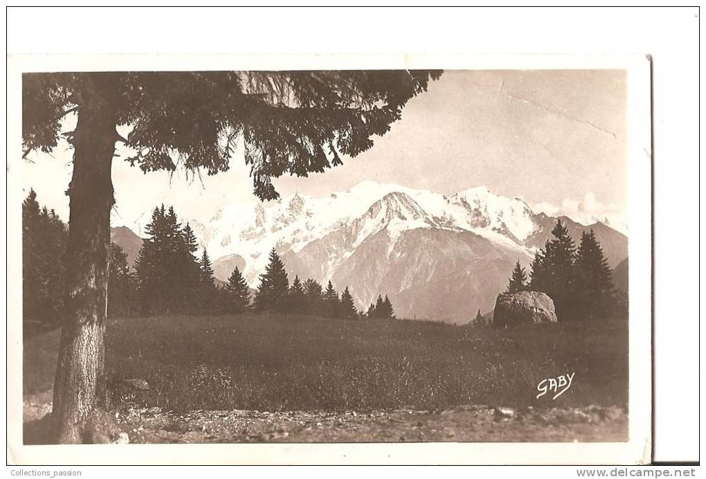 CP, 74, Assy-Passy, Le Mont-Blanc Vu De Plaine-Joux, Voyagée - Passy