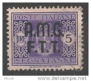 TRIESTE A  SEGNATASSE  SOVRASTAMPA SU DUE RIGHE 5 LIRE USATO - Postage Due