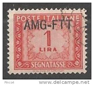 TRIESTE A  SEGNATASSE  SOVRASTAMPA SU UNA RIGA 1 LIRA USATO - Postage Due