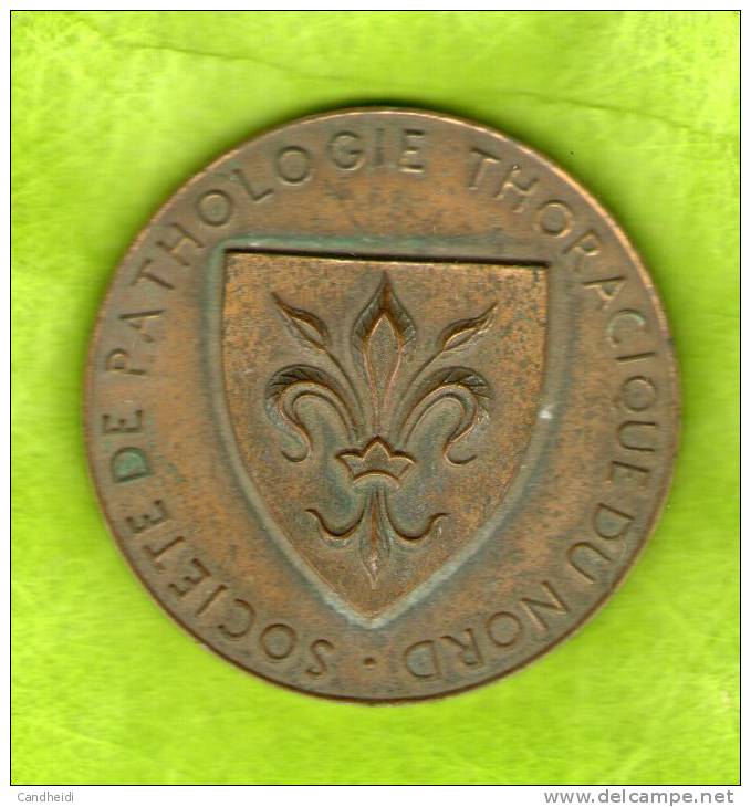 LILLE - 1968 Médaille En Bronze - Professionals/Firms