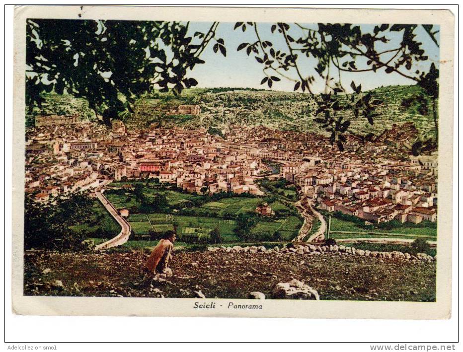 64282)cartolina Illustratoria Scicli -  Panorama - Ragusa