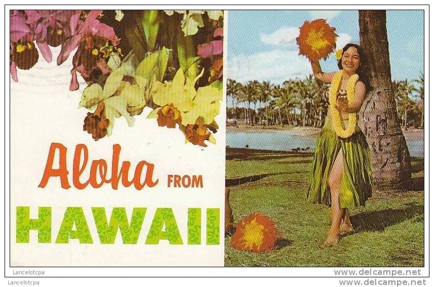 UNITED STATES / ALOHA FROM HAWAII - Big Island Of Hawaii