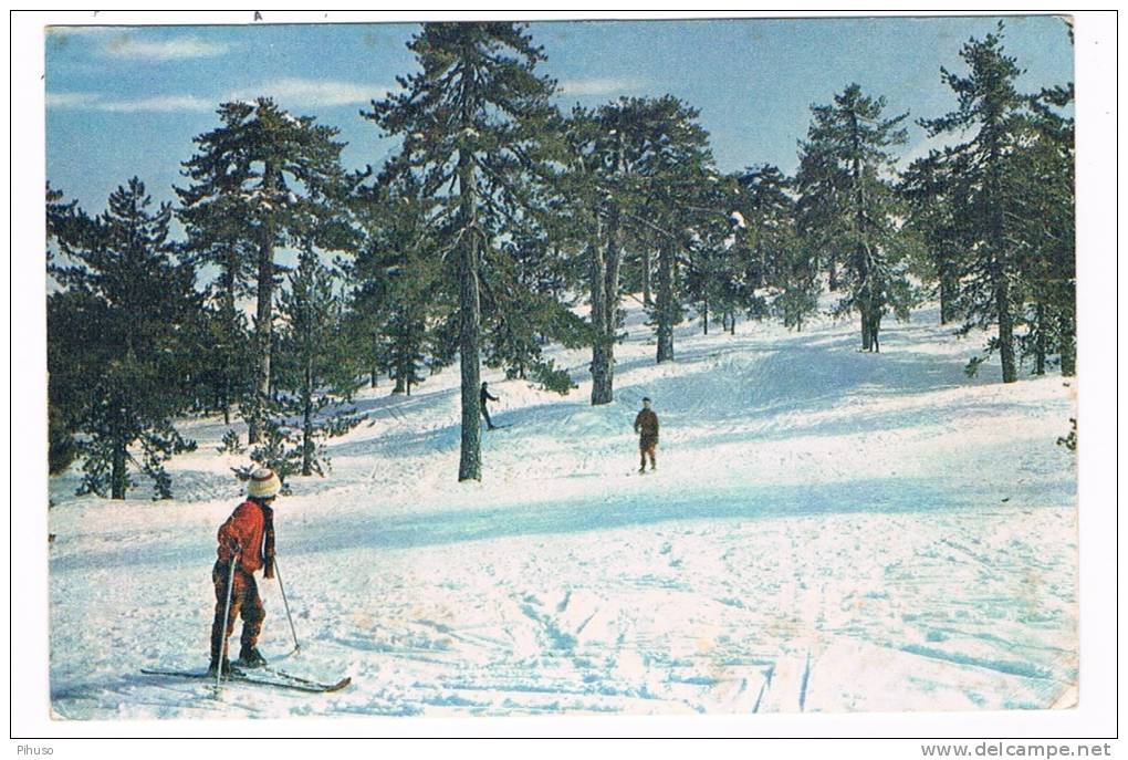 GR-37  CYPRUS : Skiing On Mt. Troodos - Chypre