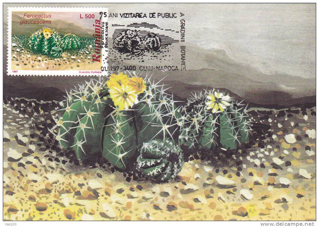 CACTUS, BOTANICAL GARDEN CLUJ, 1997, CM. MAXI CARD, CARTES MAXIMUM, ROMANIA - Cactusses