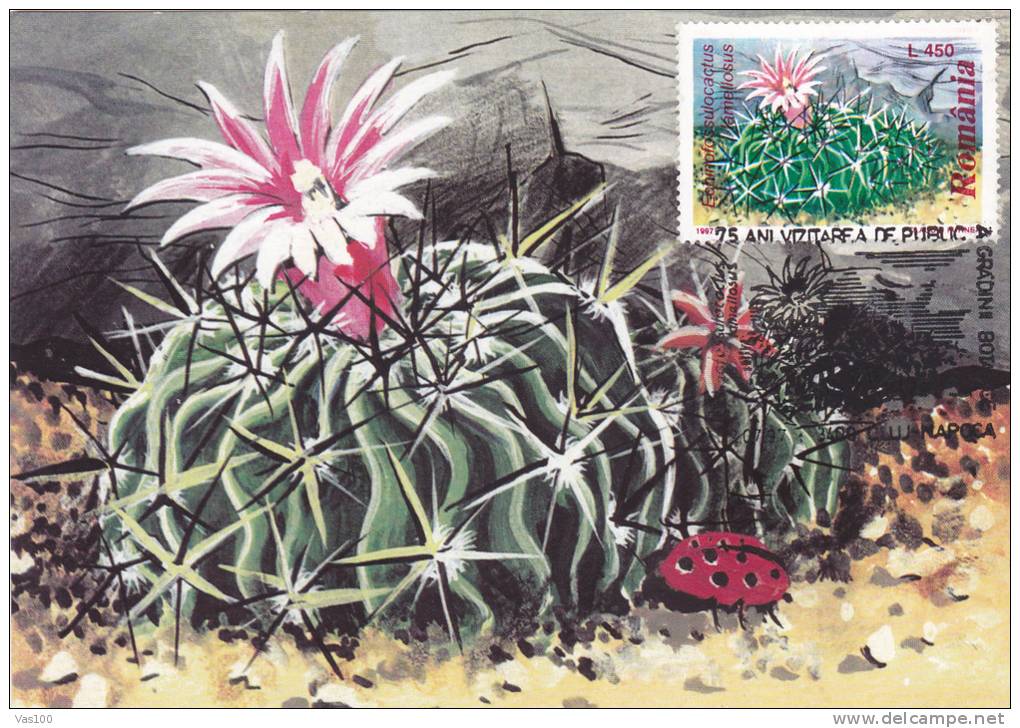 CACTUS, FLOWERS, BOTANICAL GARDEN CLUJ, 1997, CM. MAXI CARD, CARTES MAXIMUM, ROMANIA - Cactus