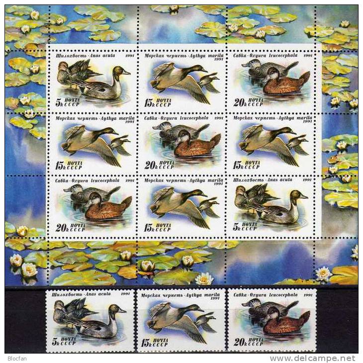 Naturschutz WWF Enten 1991 Sowjetunion 6210/2+KB ** 6€ Weißkopf--Ruderente Bloc Bird Sheet Duck Sheetlet Bf USSR CCCP SU - Canards