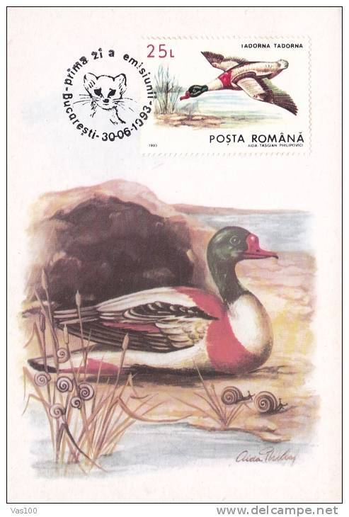 SWANS, KAT, 1993, CM. MAXI CARD, CARTES MAXIMUM, ROMANIA - Cygnes