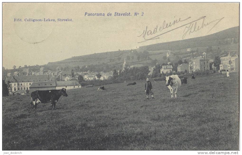 Stavelot - Panorama No. 2 (vaches - Ca. 1908) - Stavelot