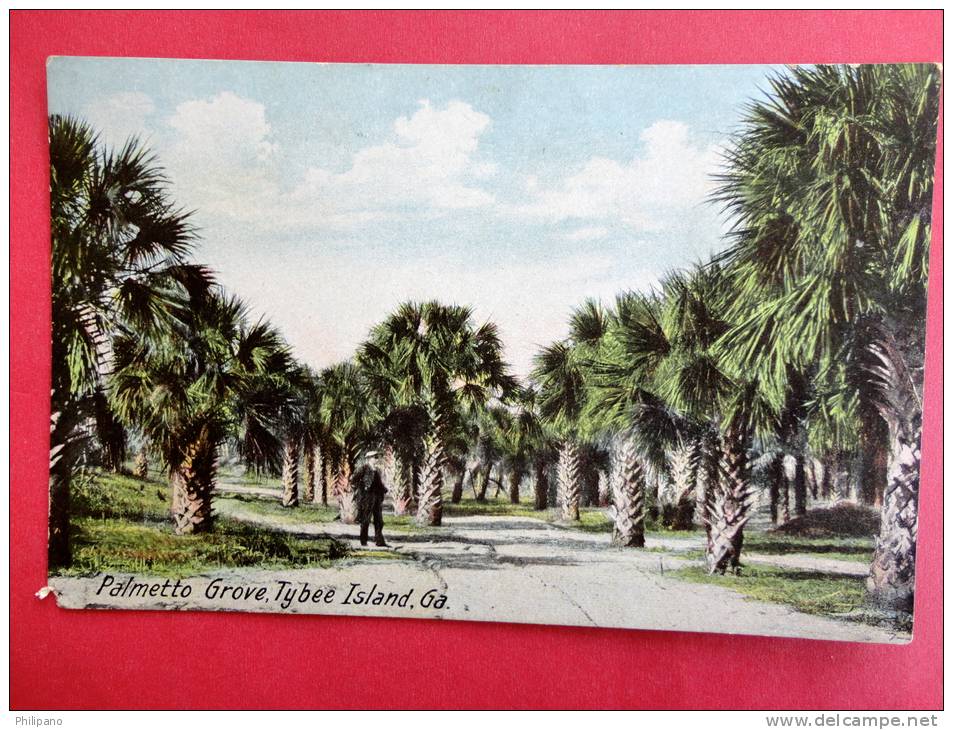 GA - Georgia >    Palmento Grove Tybee Island Ga  Ca 1910---  Ref 433 - Augusta