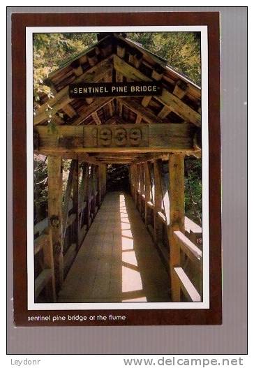 Sentinel Pine Bridge At The Flume, Images Of The White Mountains, New Hampshire - White Mountains