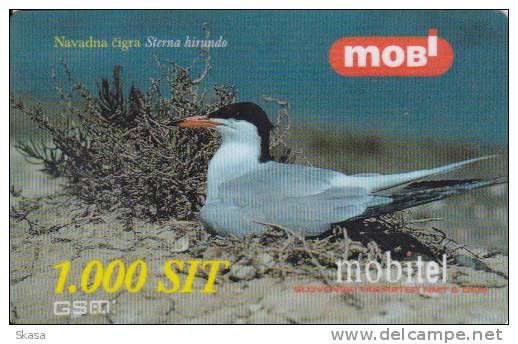 Prépayée Slovenie Mobitel Oiseau_ Bird Sterna 1.000 SIT - Slovénie