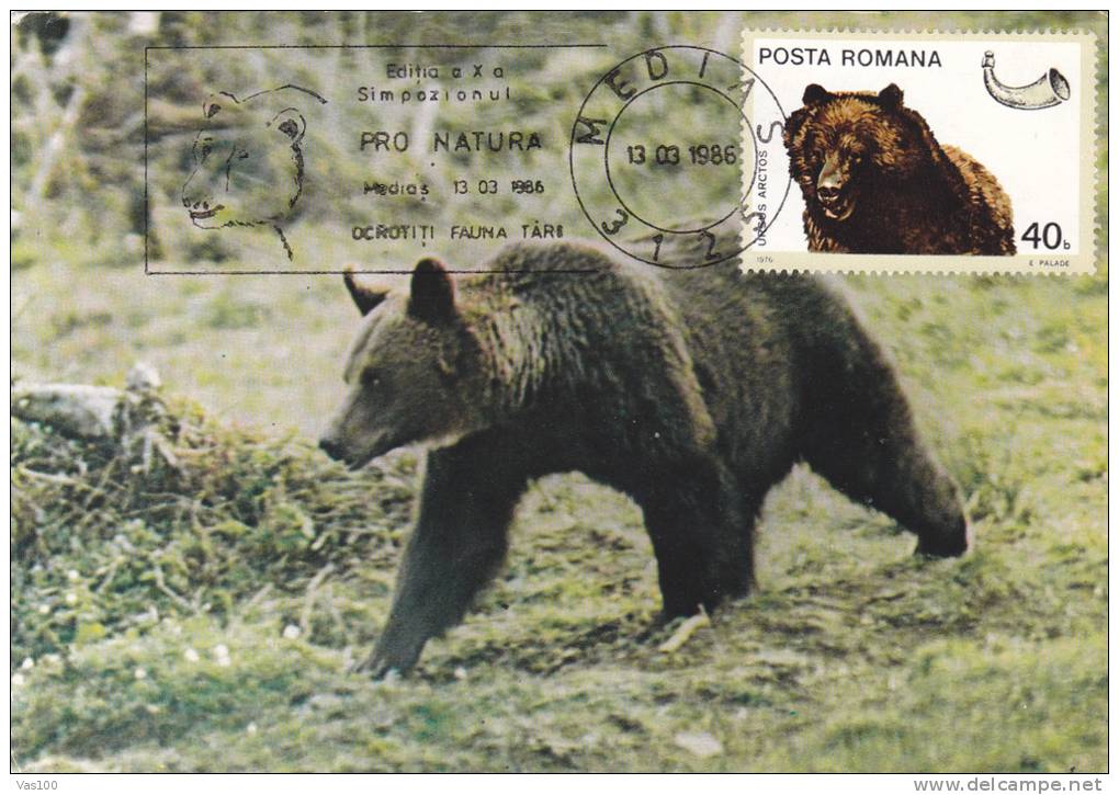 BEAR, OURS, 1986, CM. MAXI CARD, CARTES MAXIMUM, ROMANIA - Ours