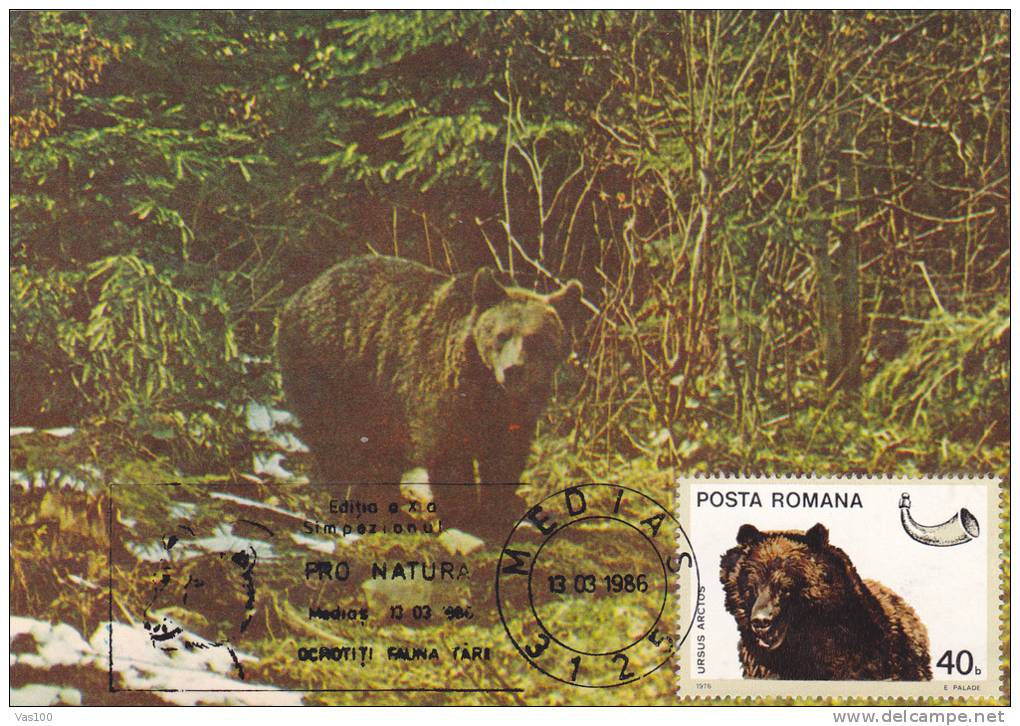 BEAR, OURS, 1986, CM. MAXI CARD, CARTES MAXIMUM, ROMANIA - Ours