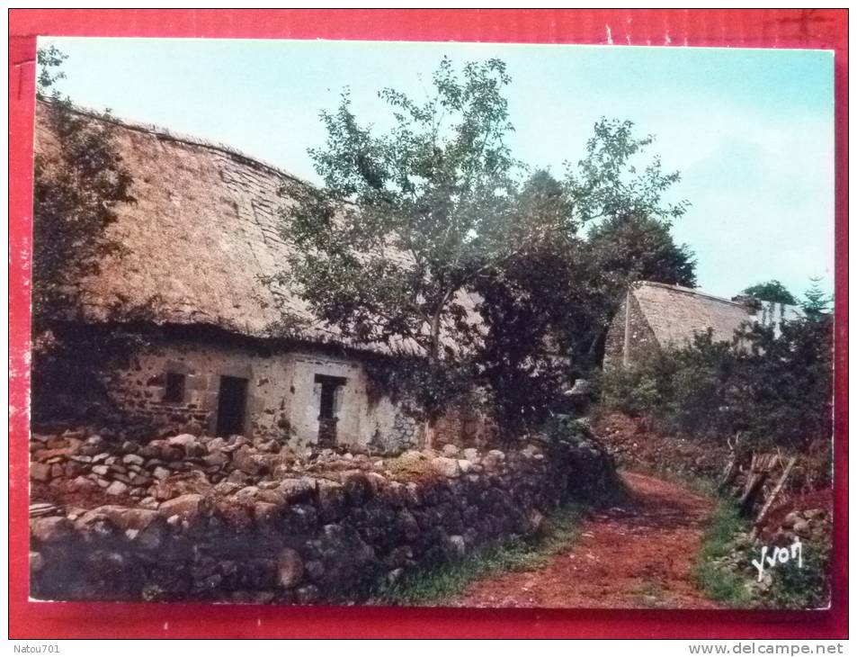 V7-63-auvergne Vieille Ferme D'auvergnes-- - Auvergne Types D'Auvergne