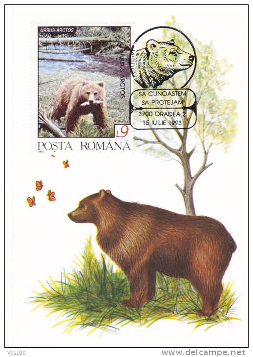 BEAR, OURS, 1992,  CM MAXI CARD, CARTES MAXIMUM, ROMANIA - Ours