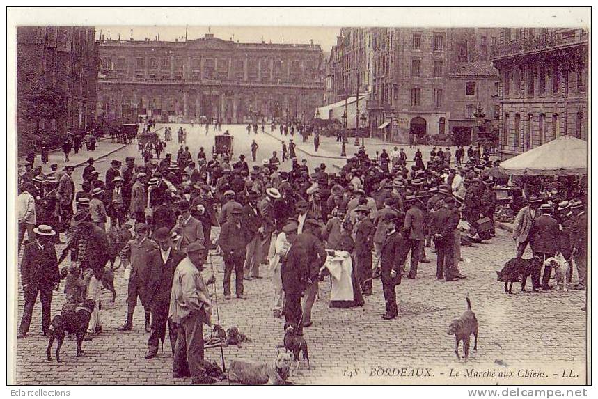 Bordeaux   Le Marché Aux Chiens  ( Voir Scan ) - Bordeaux