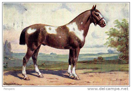 AK PFERDE HORSE   SIGNIERT KARTE  MONOPOL 290/4.OLD POSTCARD 1914 - Pferde