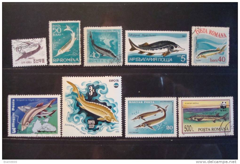 ESTURGEONS . LOT DE 9 TIMBRES - Fishes