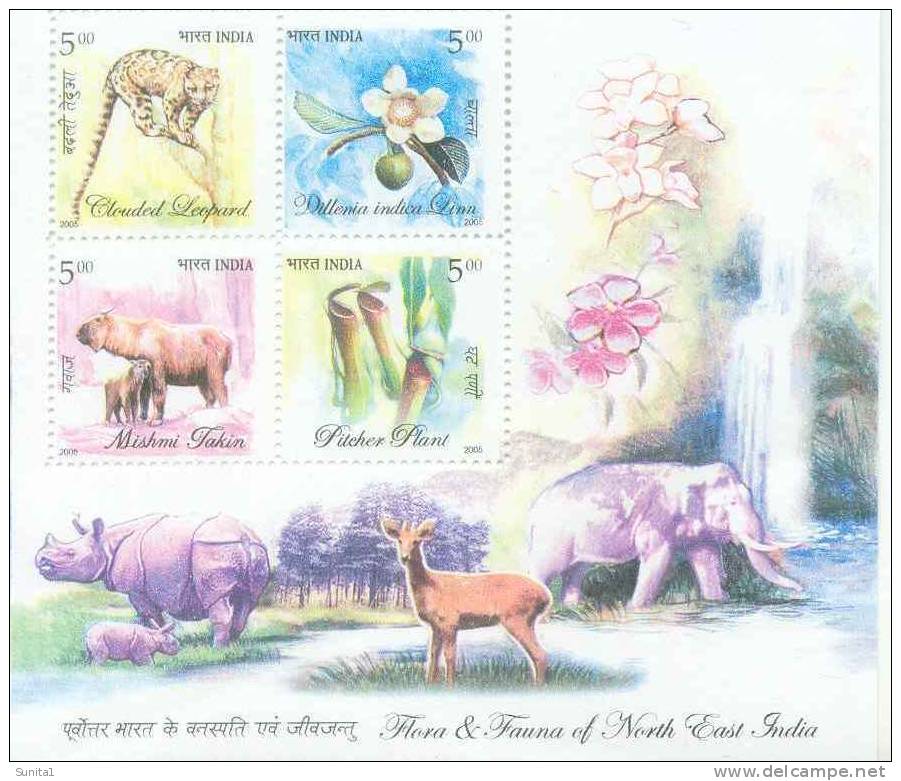 Waterfall,elephant,snow Leopard,deer, Rhino, Pitcher Plant,carnivorous Plant, Orchid,forest, Environment,flora And Fauna - Neufs