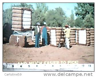 USA DIXIE BALES OF COTTON EVERY YANKEE TOURIST IS WORTH A BALE OF COTTON AGRICOLTURA LAVORO COTONE BALLE  VB1982  DQ7696 - Charlotte