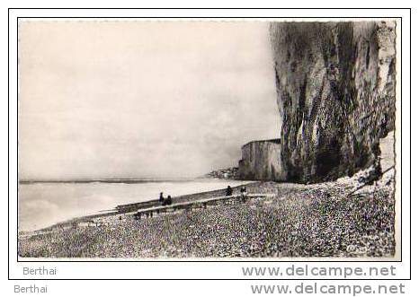 80 BOIS DE CISE - Les Falaises - Bois-de-Cise