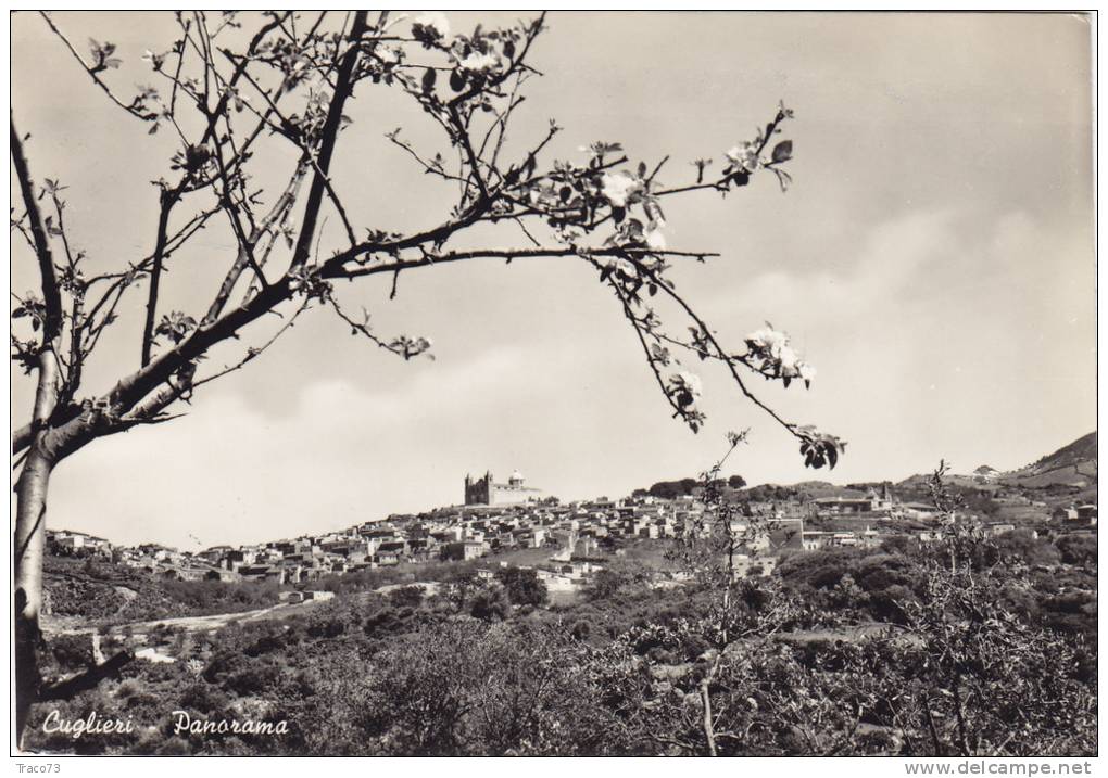 CUGLIERI  /  Panorama - Viaggiata - Oristano