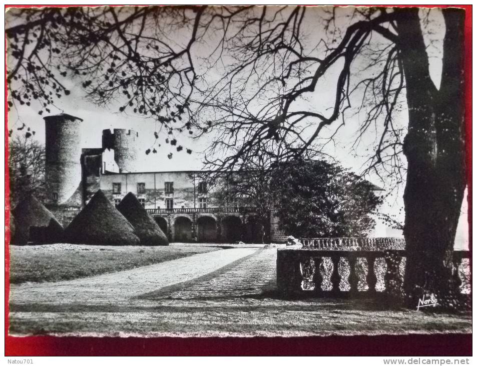 V7-63-puy De Dome--chateau De Ravel- Pres De Lezoux-le Chateau Et Le Parterre--carte Poto Avion-- - Lezoux