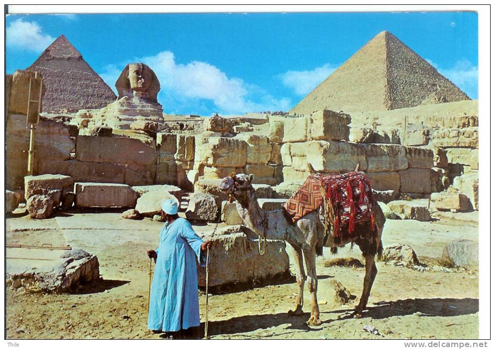 GIZA - The Great Sphinx And Keops Pyramid - Chameau - Camel - Guiza